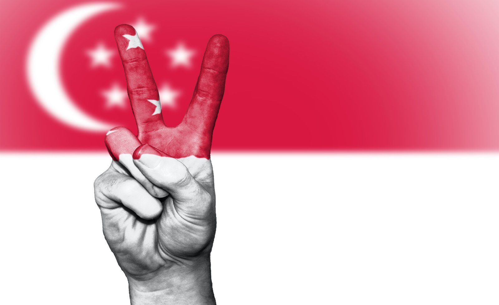 The Impact of Singapore Properties on Education and Community Development: A Survey Contribution